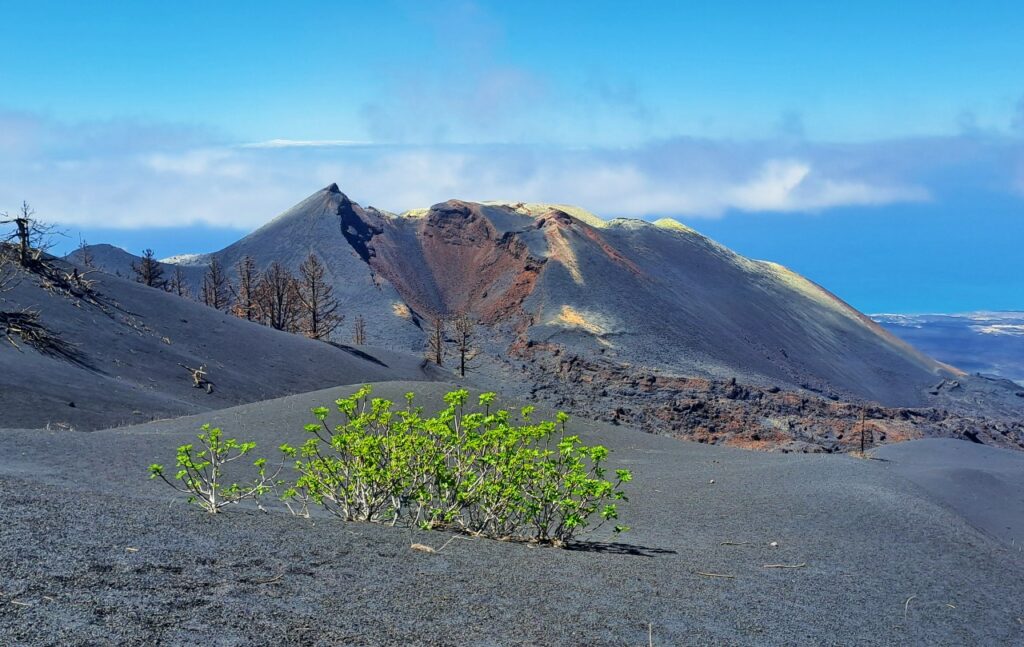 Vulkan Tajogaite auf La Palma