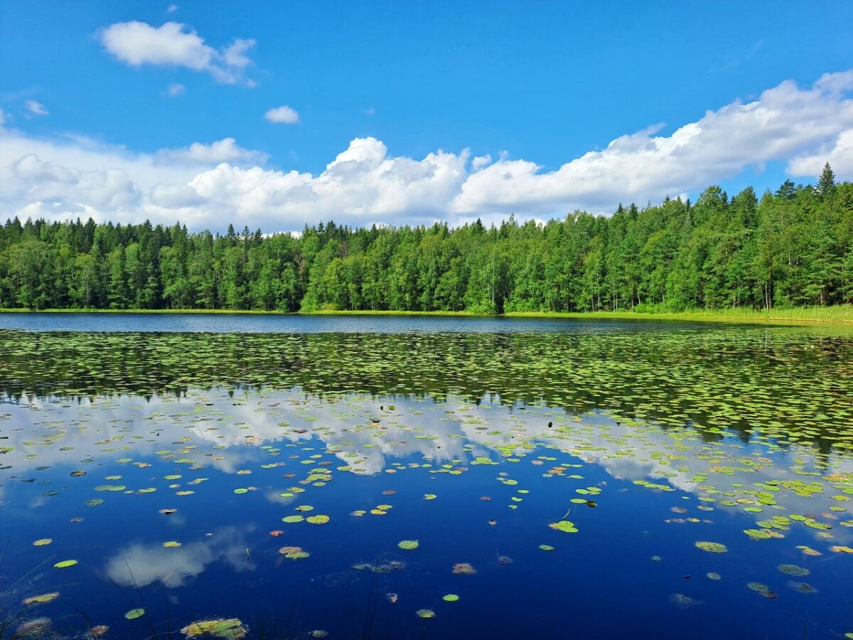 Sipoonkorpi National Park