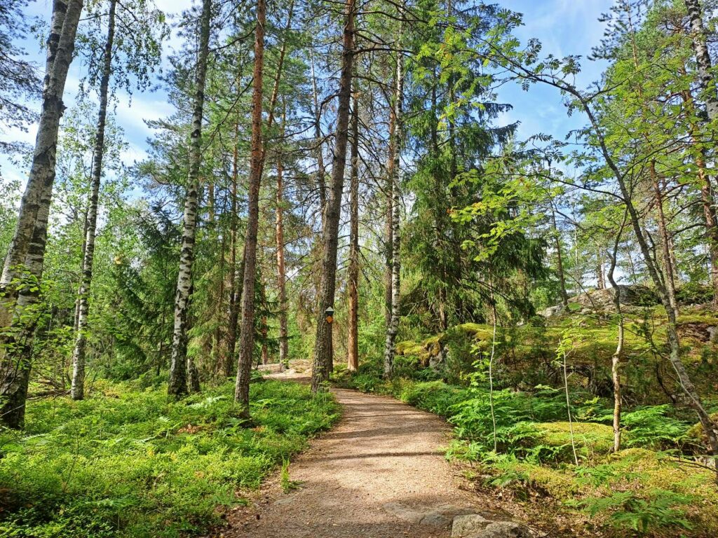 Waldweg im Sipoonkorpi Nationalpark