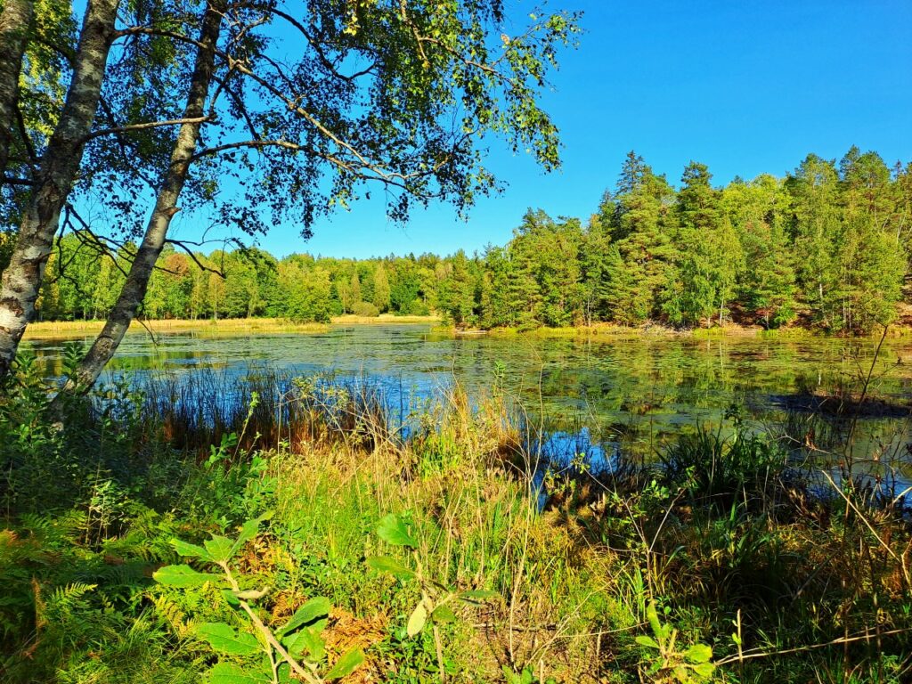 Landschaft am Värmdöleden